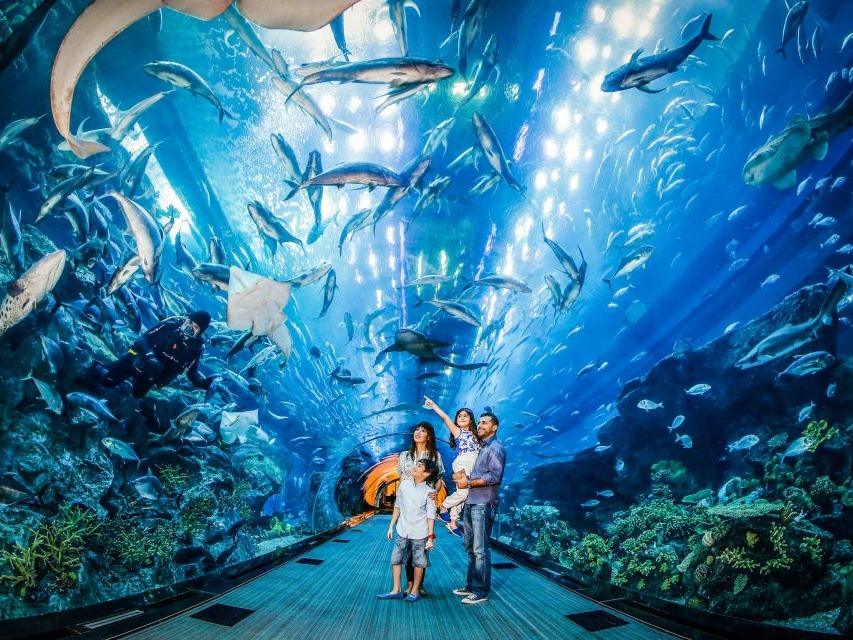Dubai Mall Aquarium & Underwater Zoo